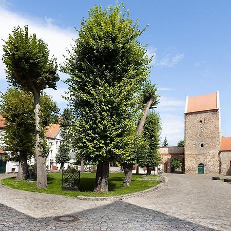 Wasserburg Zu Gommern Bagian luar foto