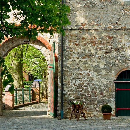 Wasserburg Zu Gommern Bagian luar foto