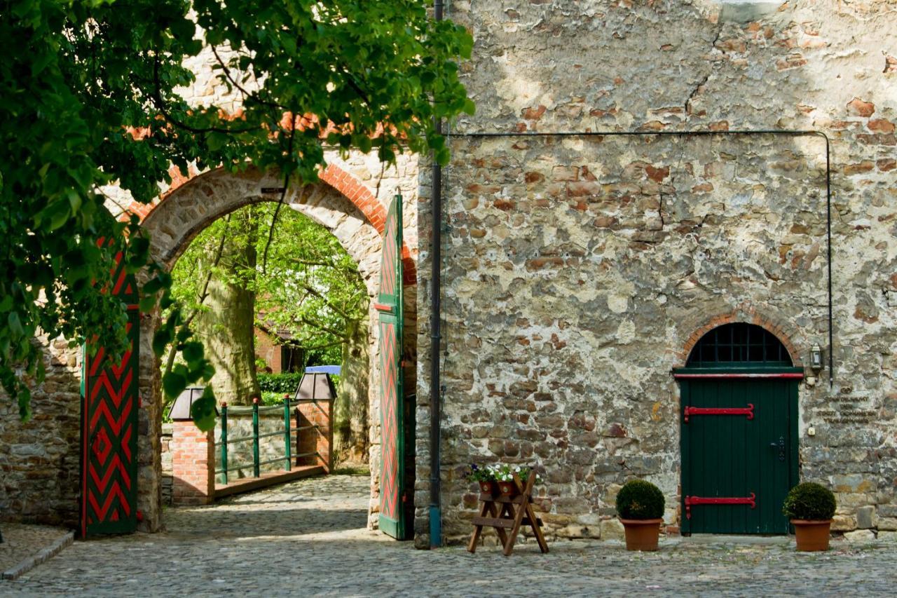 Wasserburg Zu Gommern Bagian luar foto